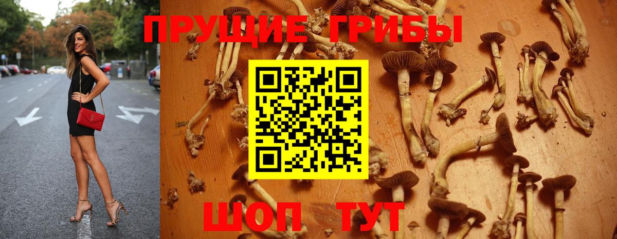 Галлюциногенные грибы Magic Shrooms  Псилоцибиновые грибы GOLDEN TEACHER  как найти   Вход с VPN  Орехово-Зуево 