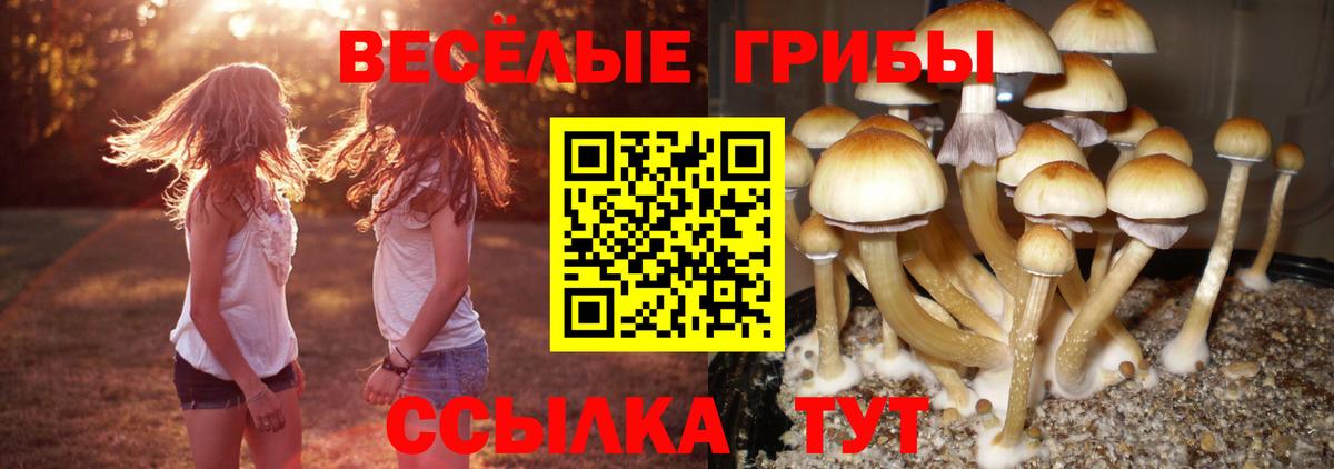Галлюциногенные грибы мухоморы Орехово-Зуево